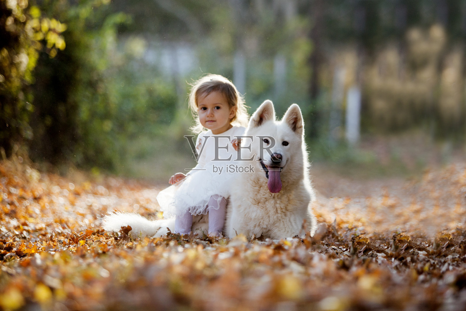 最好的朋友照片摄影图片