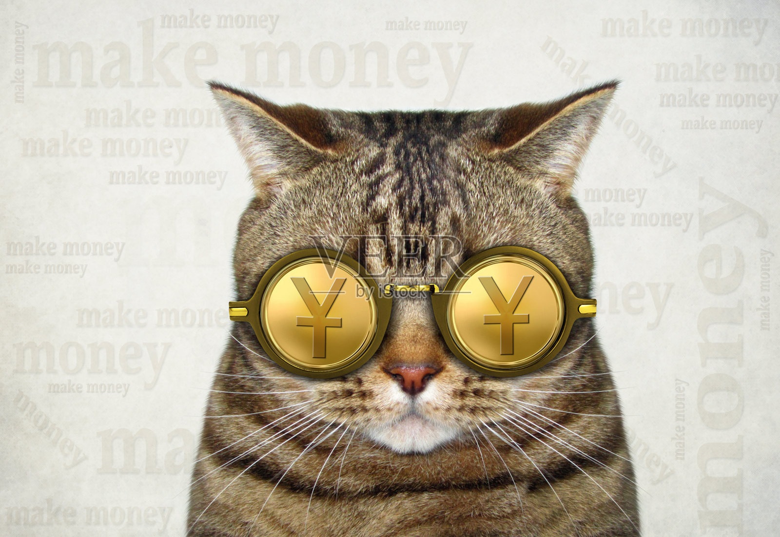 戴着金元眼镜的猫2照片摄影图片