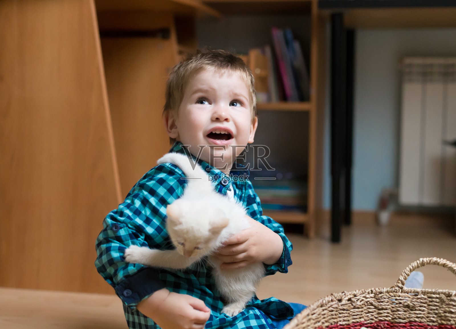 男孩，小猫，家，乐趣照片摄影图片