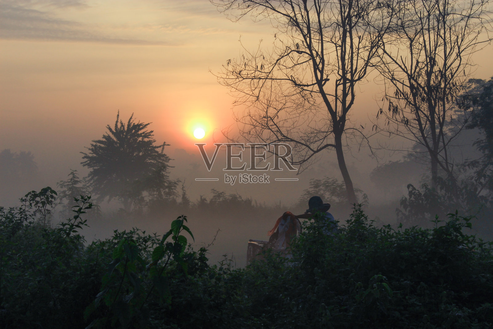 日落照片摄影图片