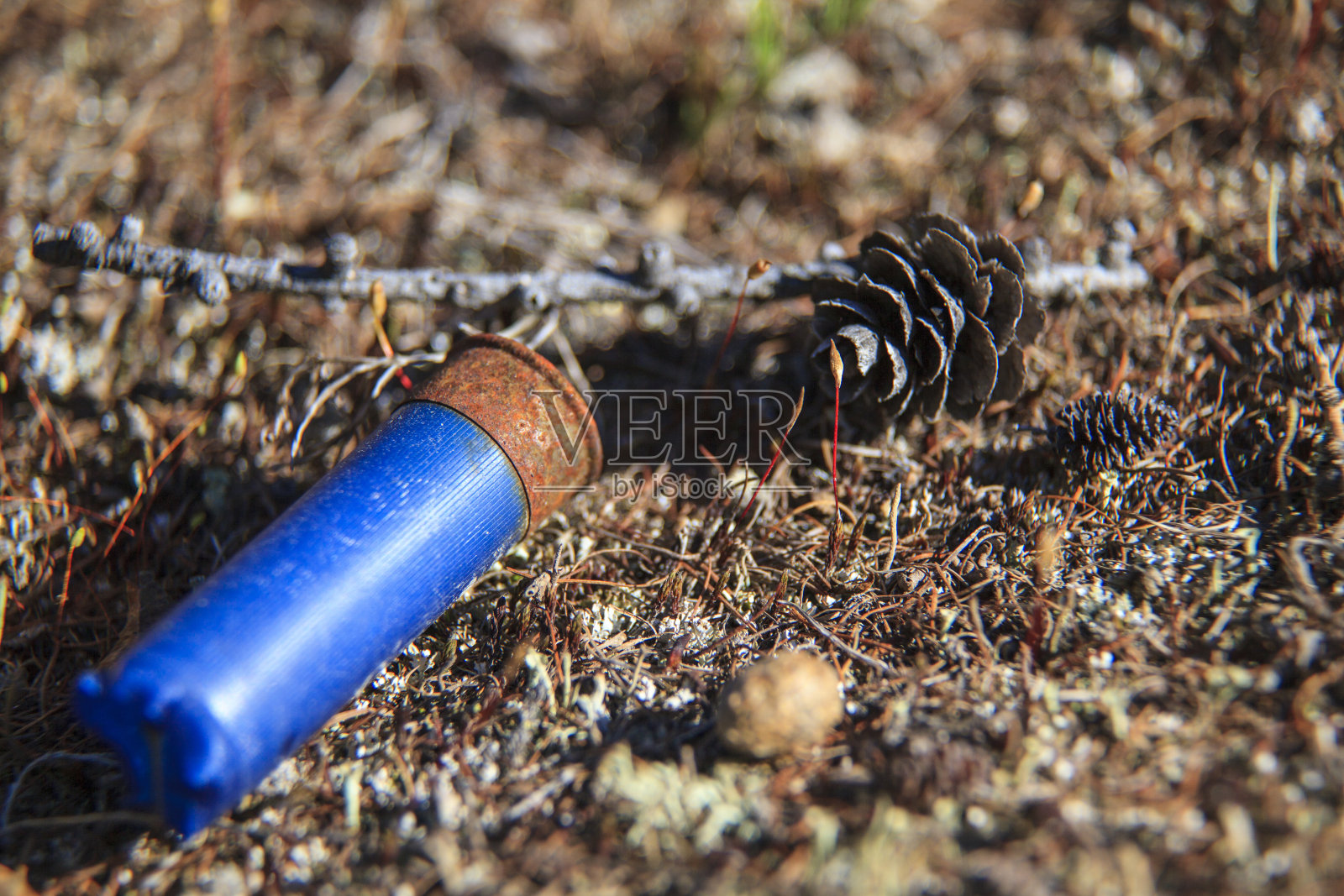 狩猎袖在地上照片摄影图片