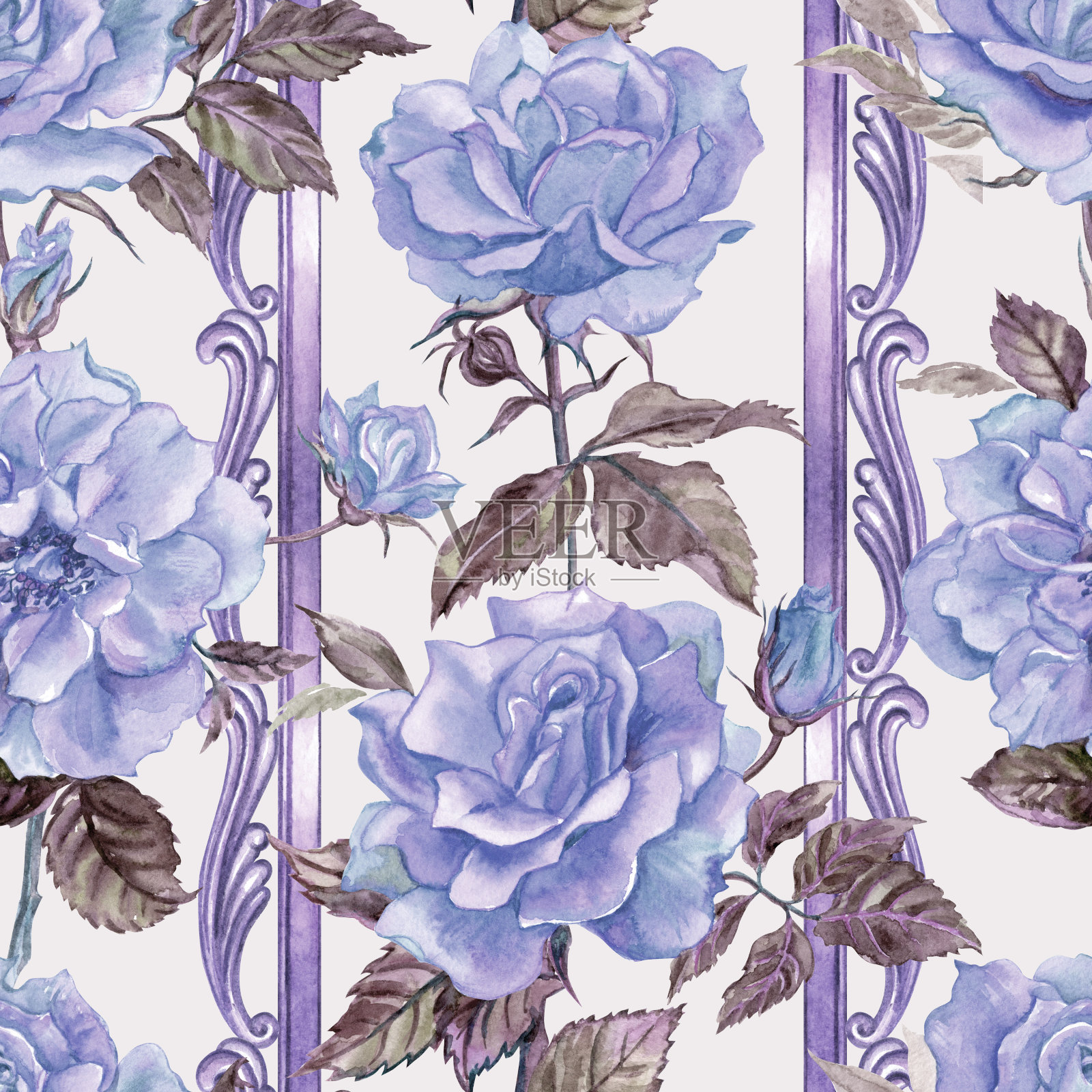 紫罗兰灰色的玫瑰和巴洛克图案图案插画图片素材