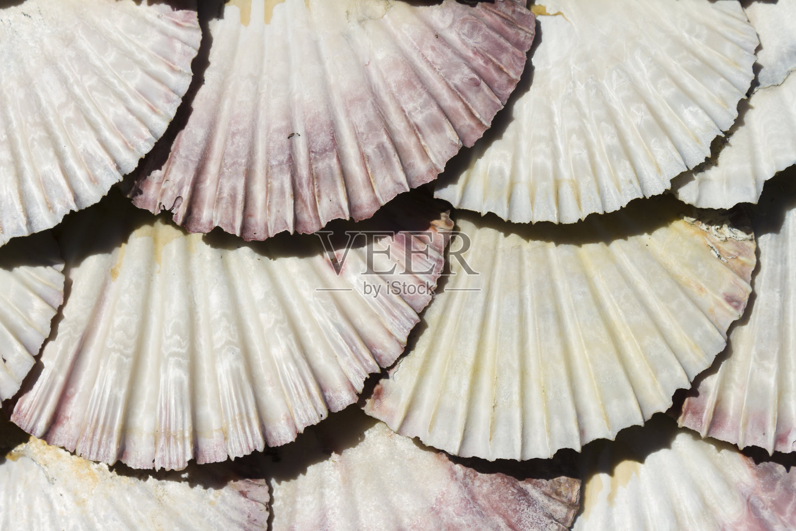 贝壳教堂，托亚岛，里亚德阿罗萨，蓬特韦德拉省，西班牙加利西亚照片摄影图片