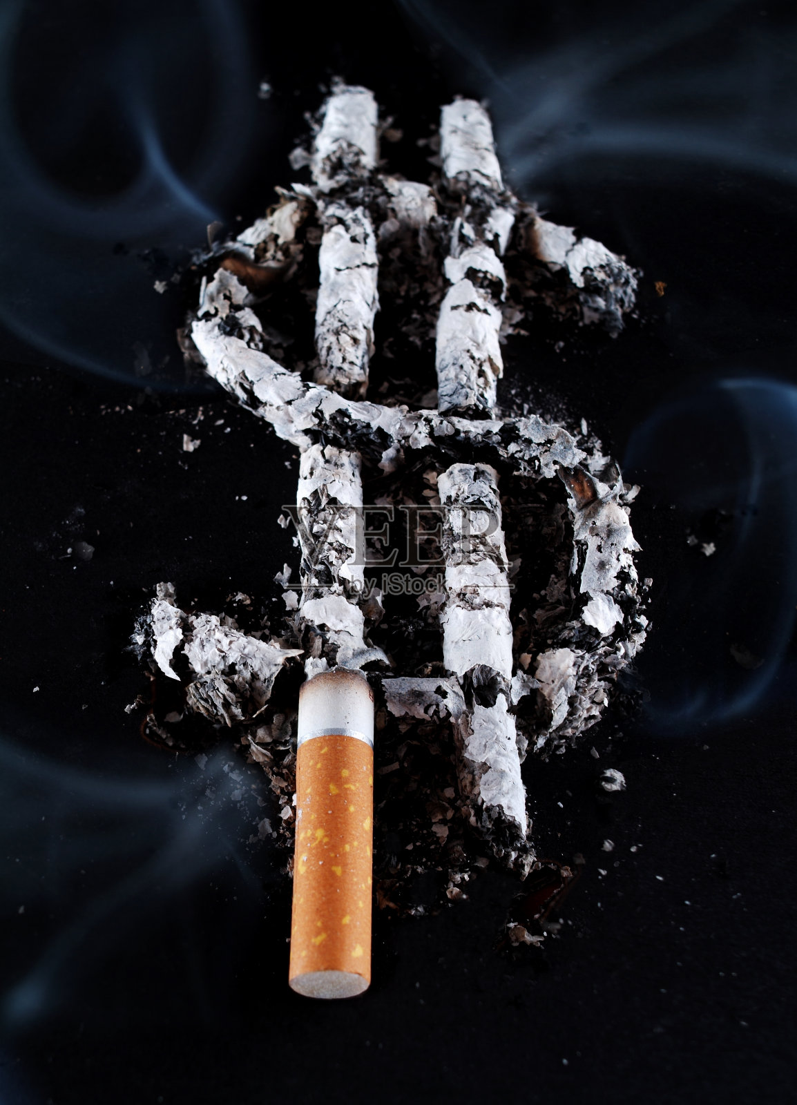 美元在灰烬照片摄影图片