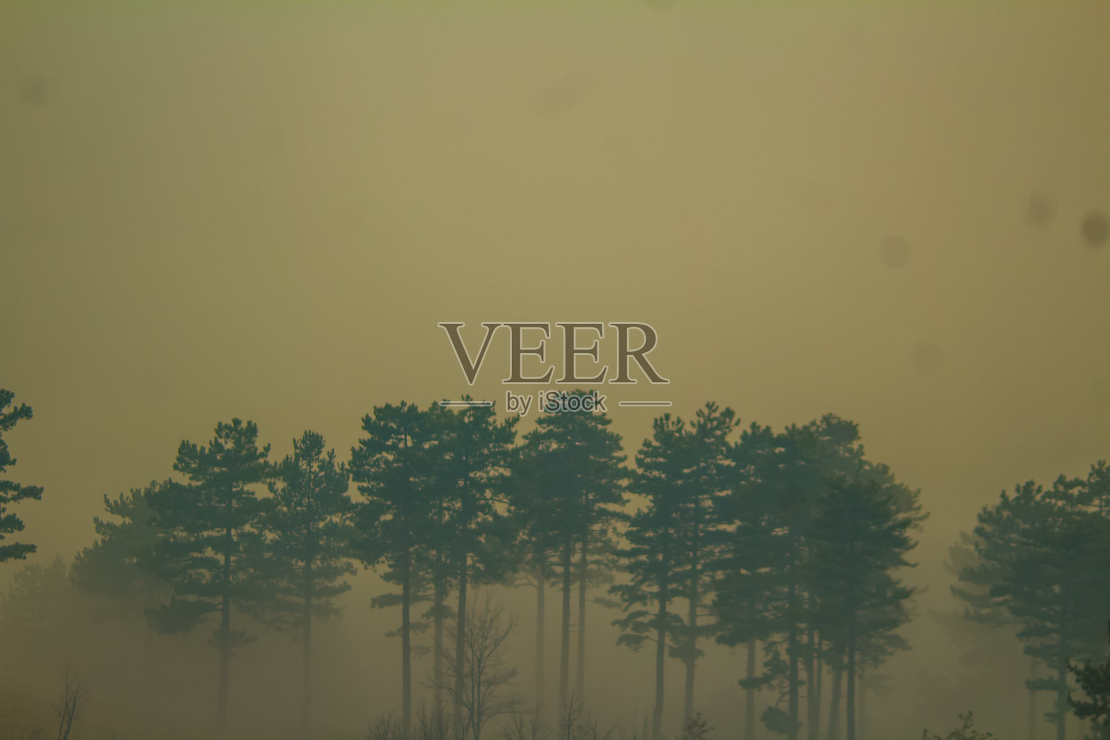 污染照片摄影图片