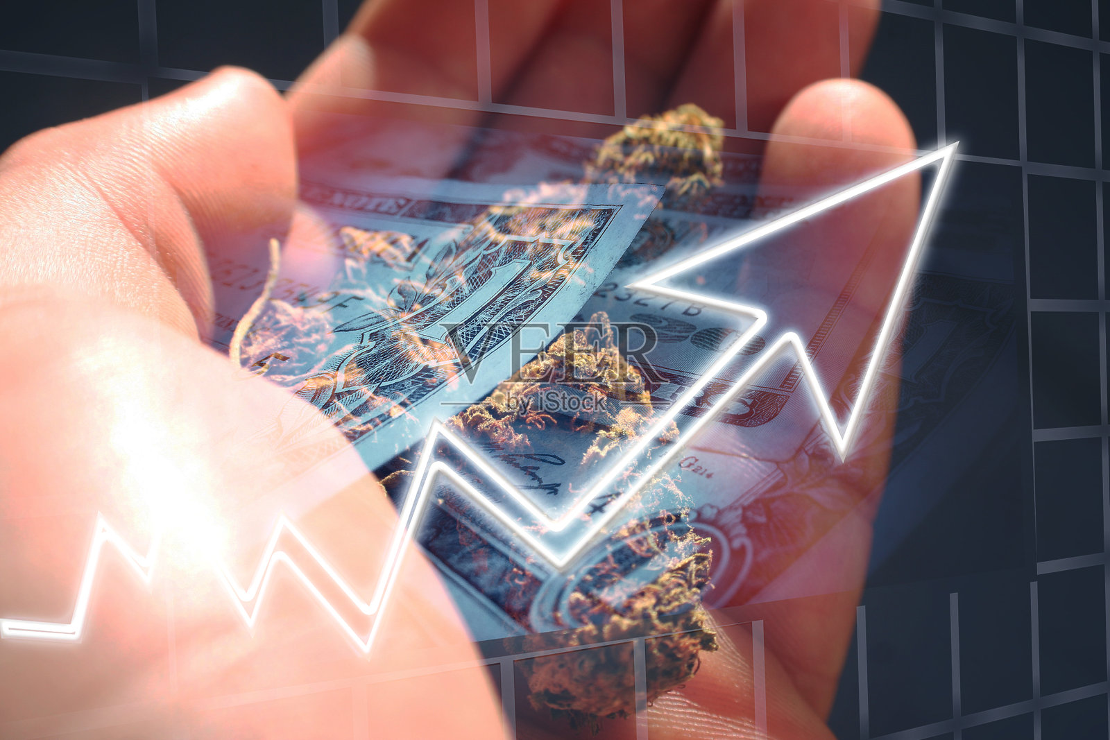 大麻库存在萌芽时爆炸照片摄影图片