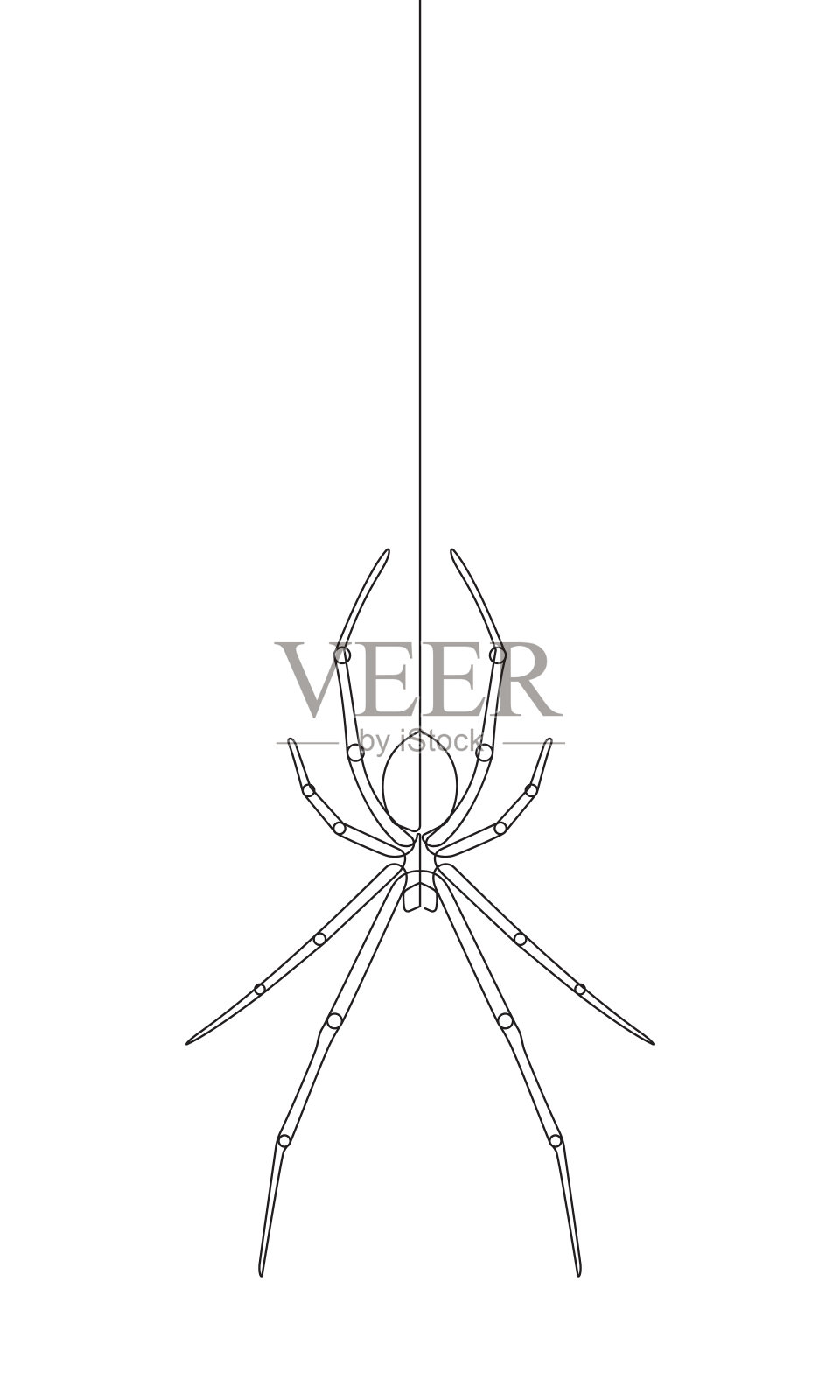 悬挂蜘蛛连续矢量线图形设计元素图片