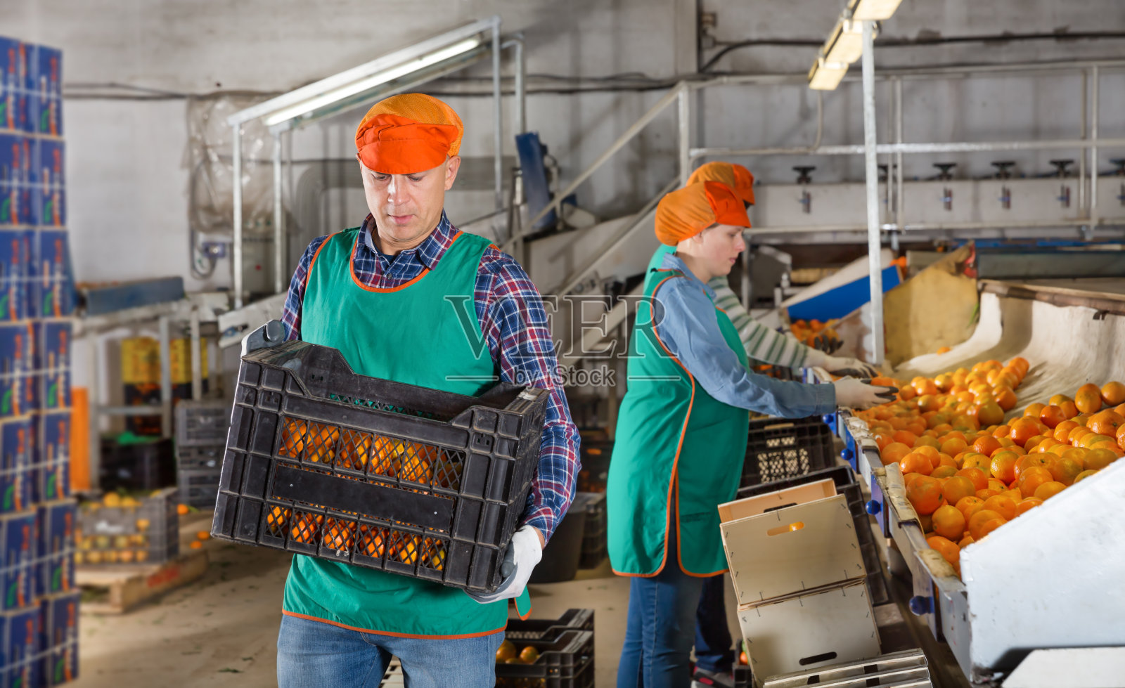 男人拿着装着橘子的箱子照片摄影图片