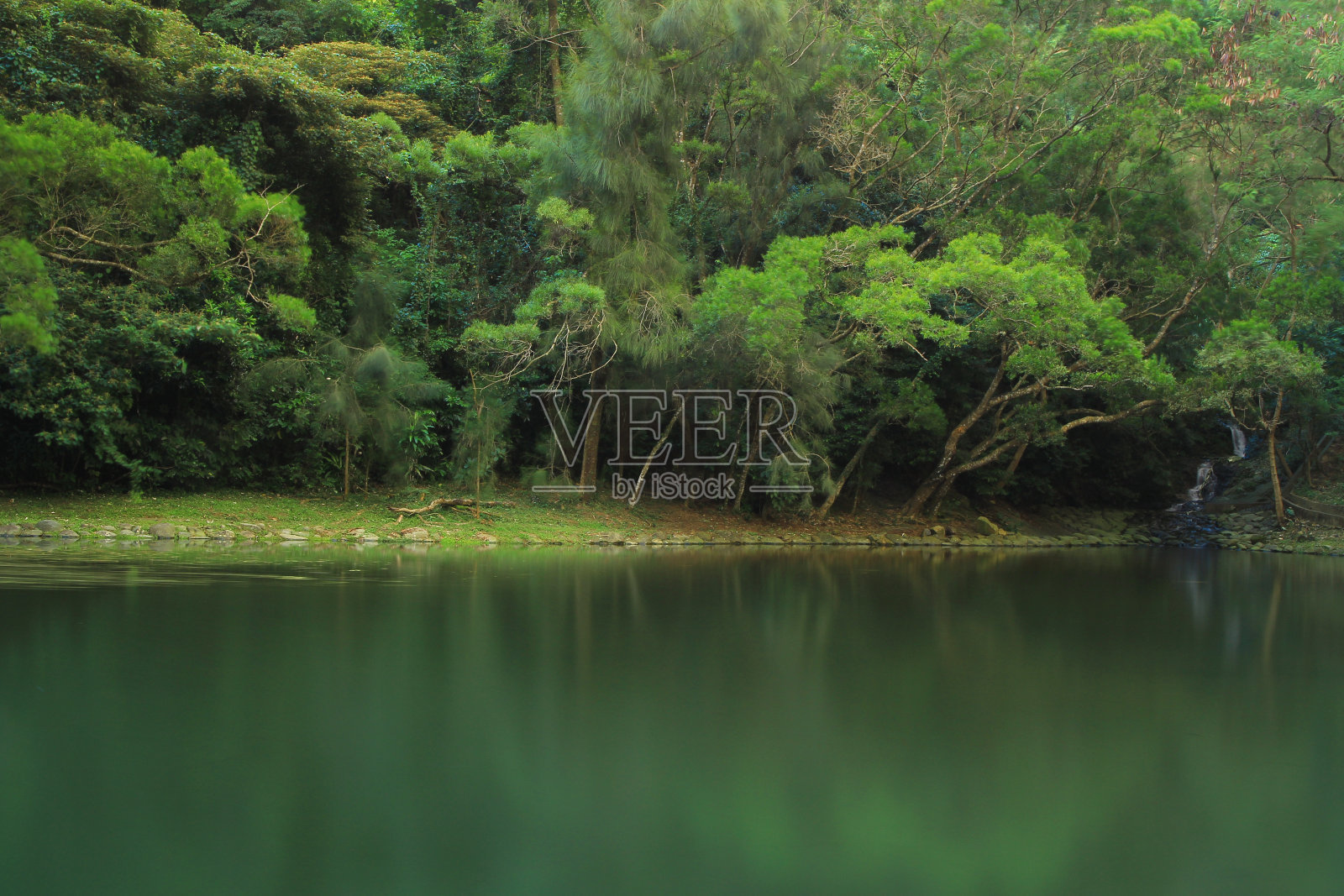 科大的自然泳池照片摄影图片