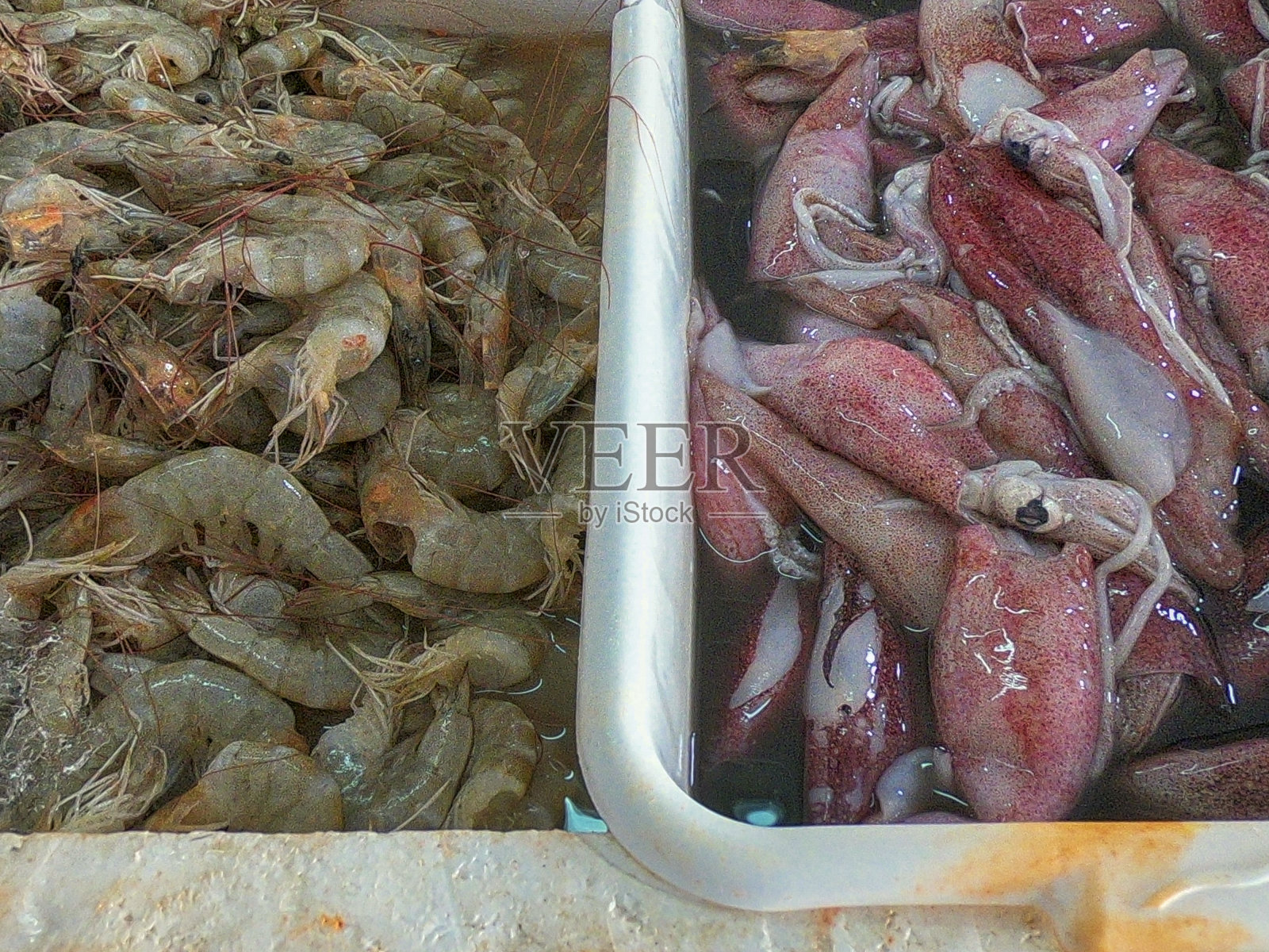 鲜虾照片摄影图片