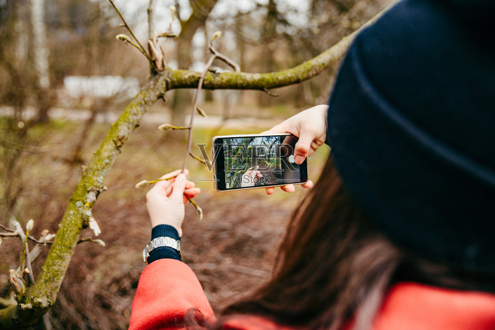 年轻女子正在拍摄盛开的柳树照片摄影图片