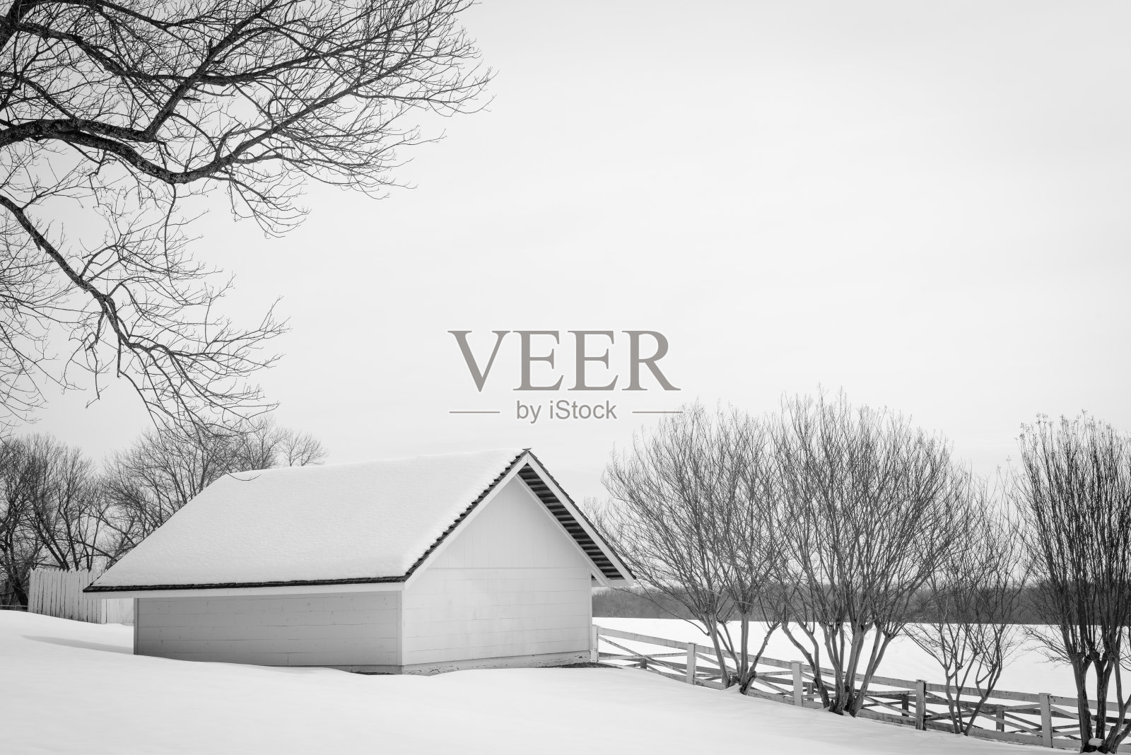 弗吉尼亚的冬季景观照片摄影图片