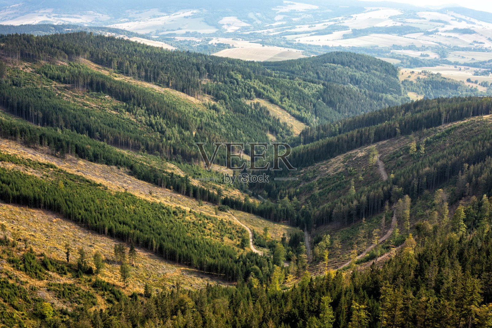 夏日的山景。夏天在山上。美丽的全景明信片或日历。看到绿色的山坡和小山。照片摄影图片