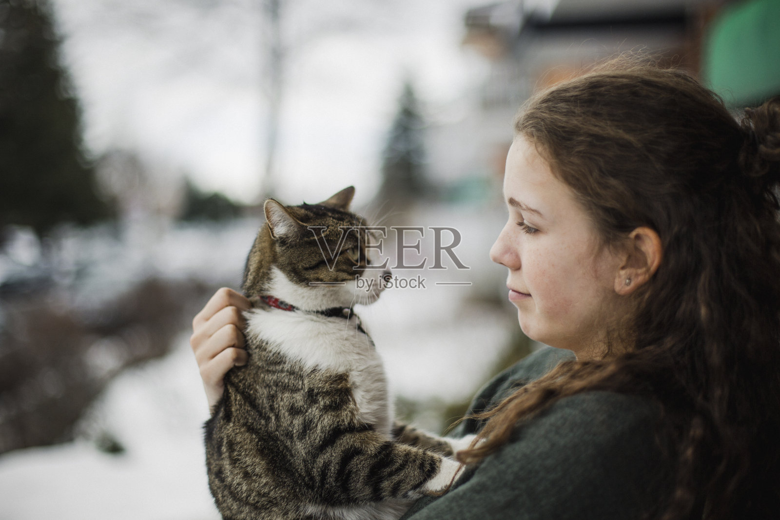 少女和她的虎斑猫照片摄影图片