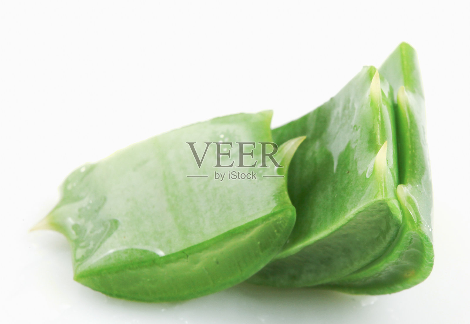 芦荟照片摄影图片