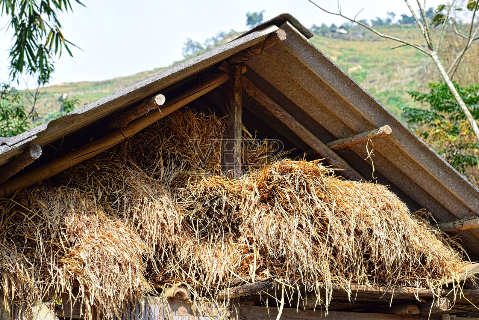 谷仓里的干草照片摄影图片