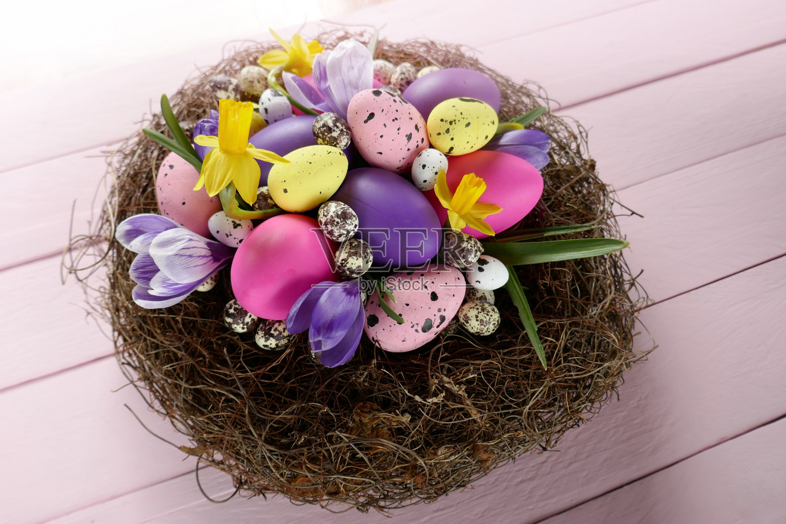 复活节假期。大鸟巢与五彩缤纷的复活节彩蛋，丁香番红花和黄色水仙花在粉红色的木制背景。复活节的节日背景。春天的季节照片摄影图片