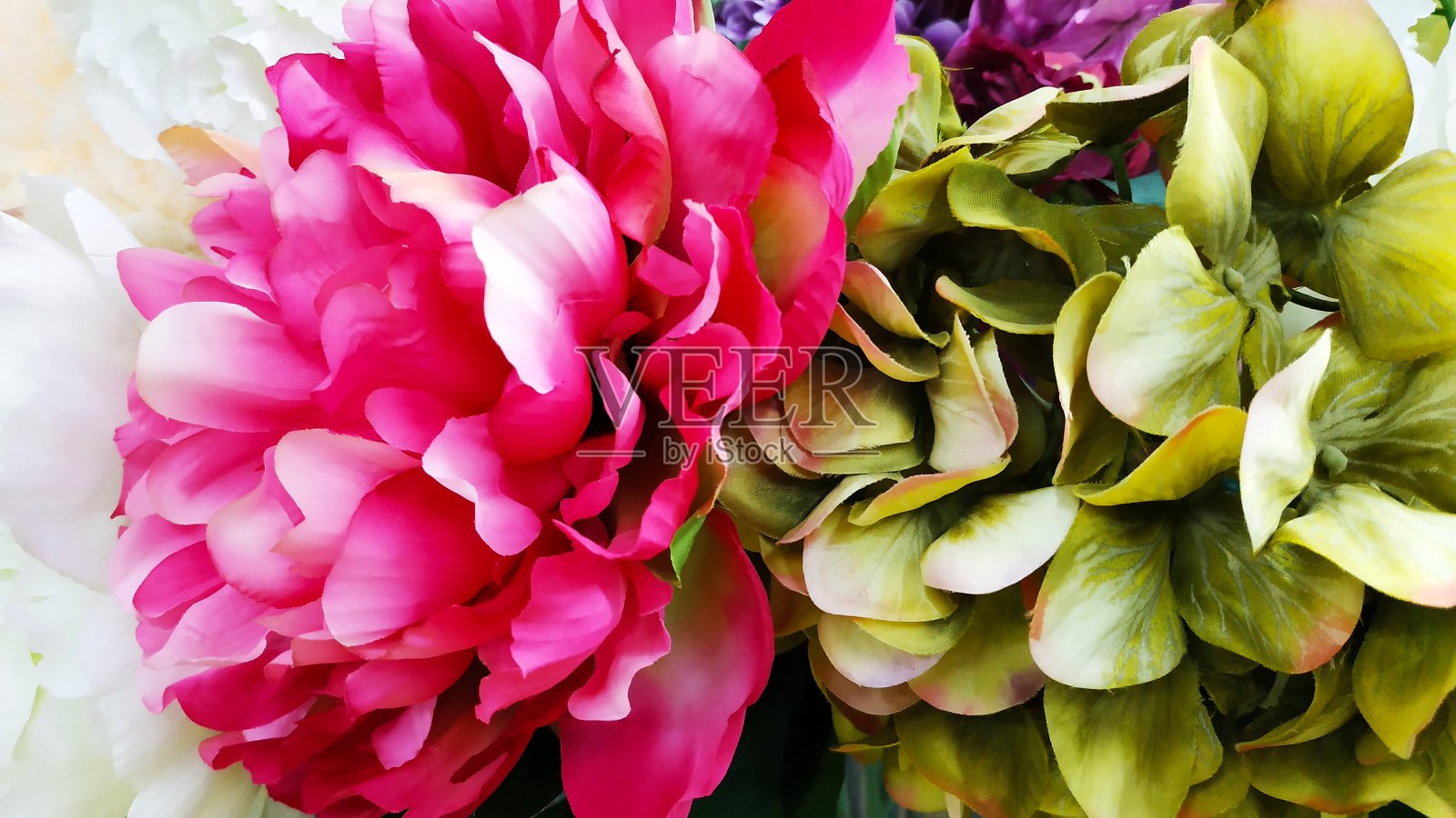 情人节的鲜花照片摄影图片