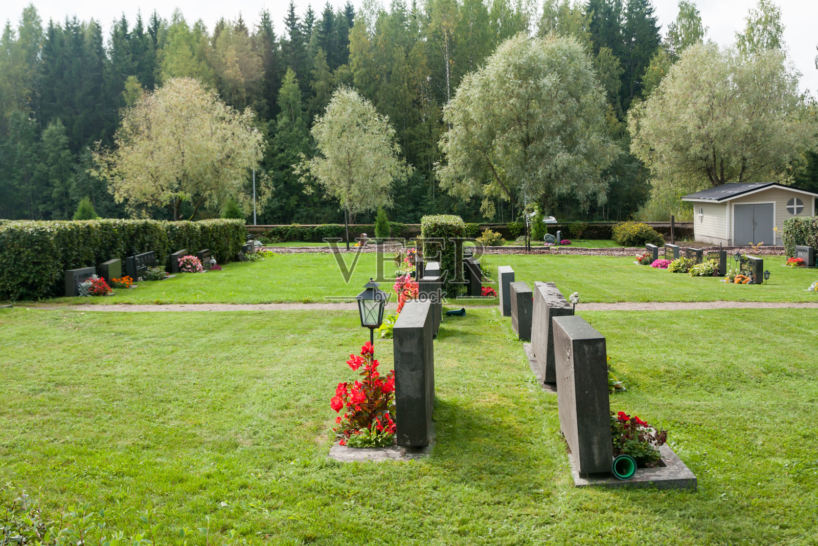 芬兰有墓碑和鲜花的公墓。照片摄影图片