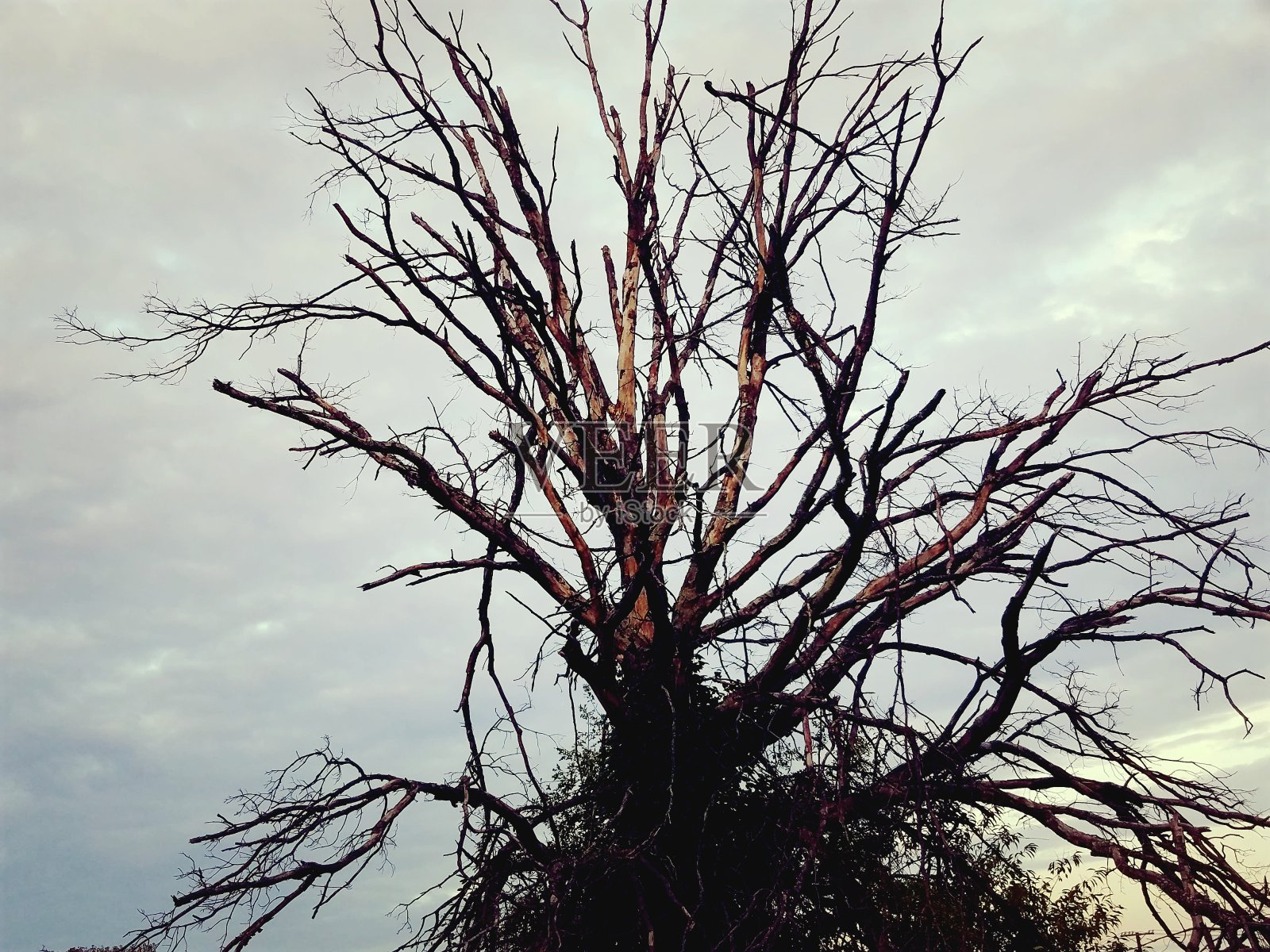 稻草人照片摄影图片