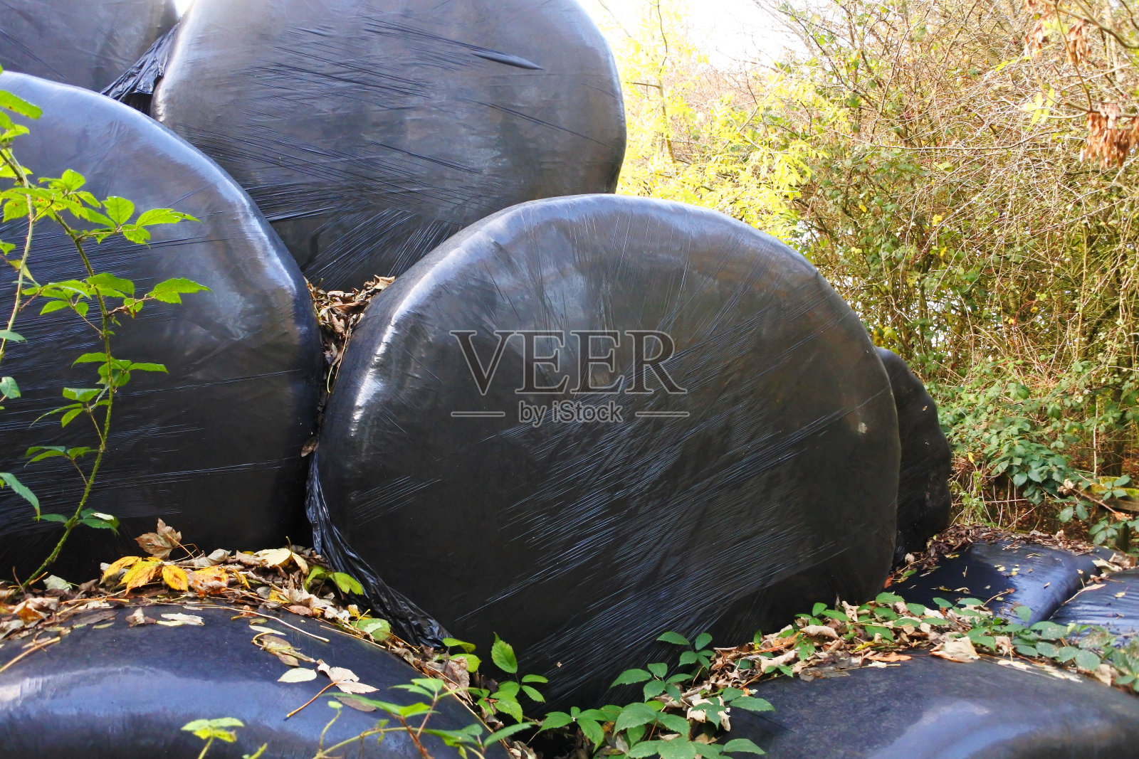 塑料青贮饲料包照片摄影图片