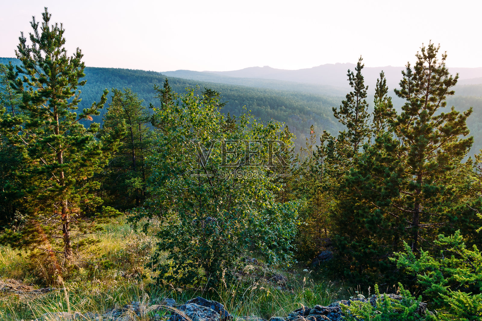 山顶上有绿树照片摄影图片