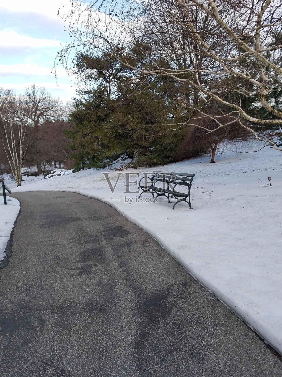 公园里有一条长凳照片摄影图片