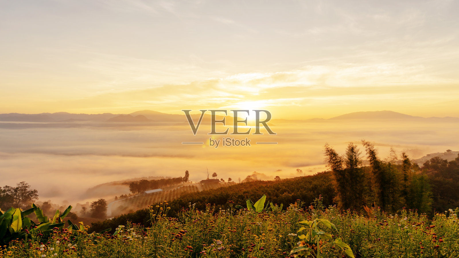 清晨日出云雾缭绕于云莱观景台(派)泰国湄南河松省照片摄影图片