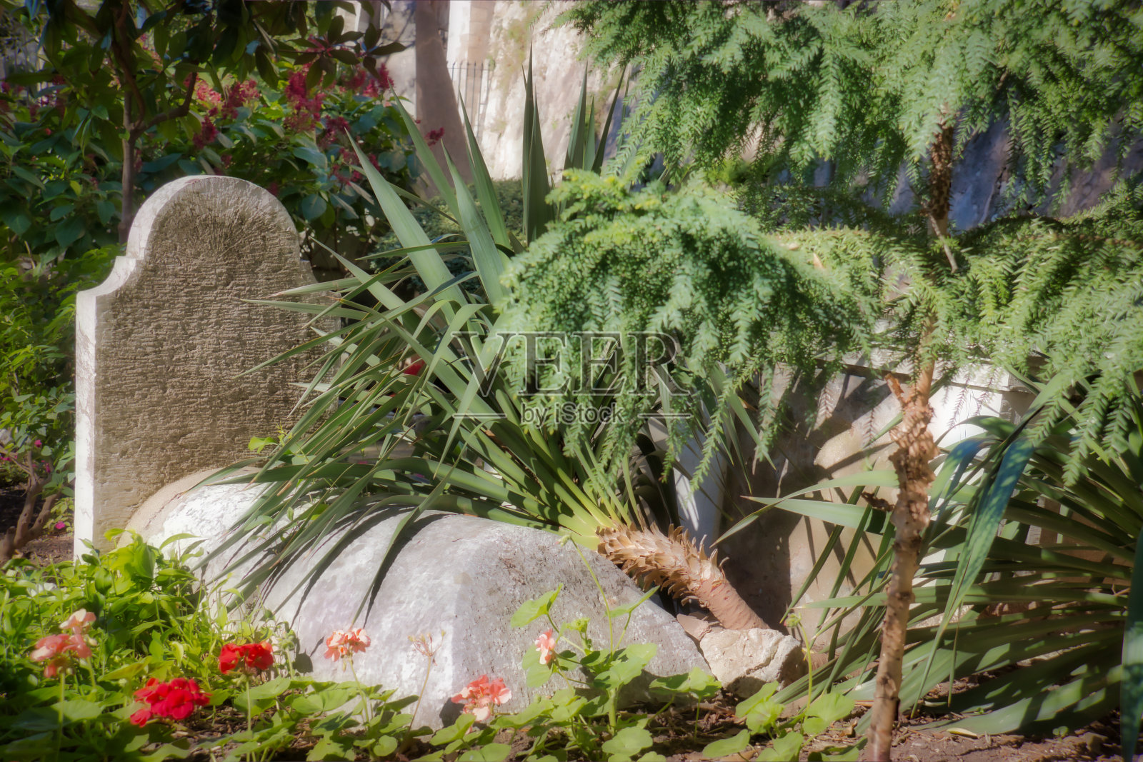 直布罗陀的特拉法加公墓照片摄影图片