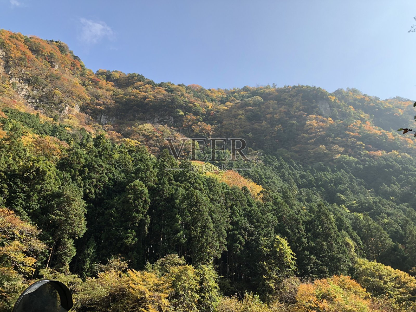 日本三重纳巴里市赤ame 48号高迪达尼瀑布自然秋水照片摄影图片