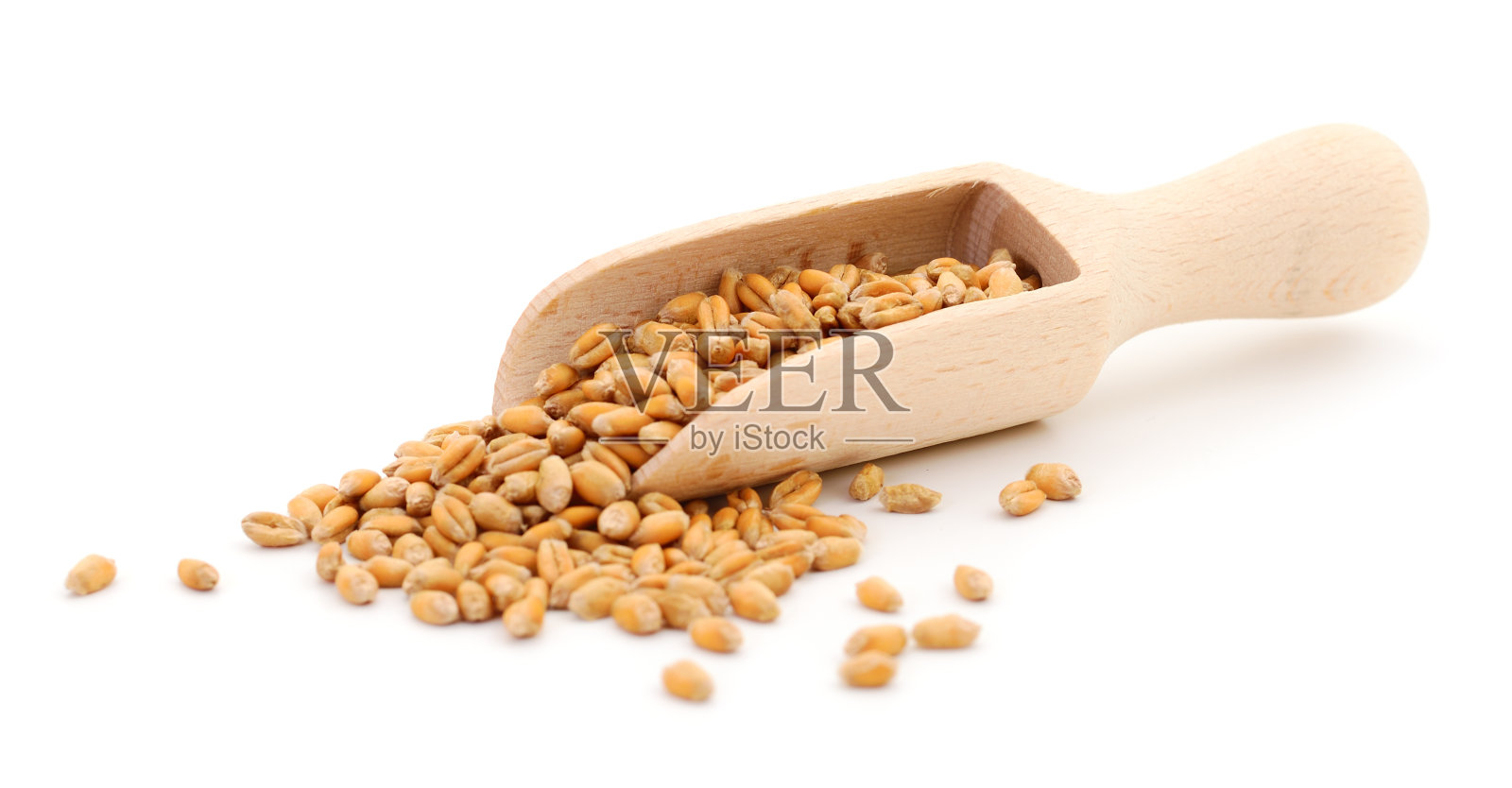 用木勺舀小麦粒。照片摄影图片