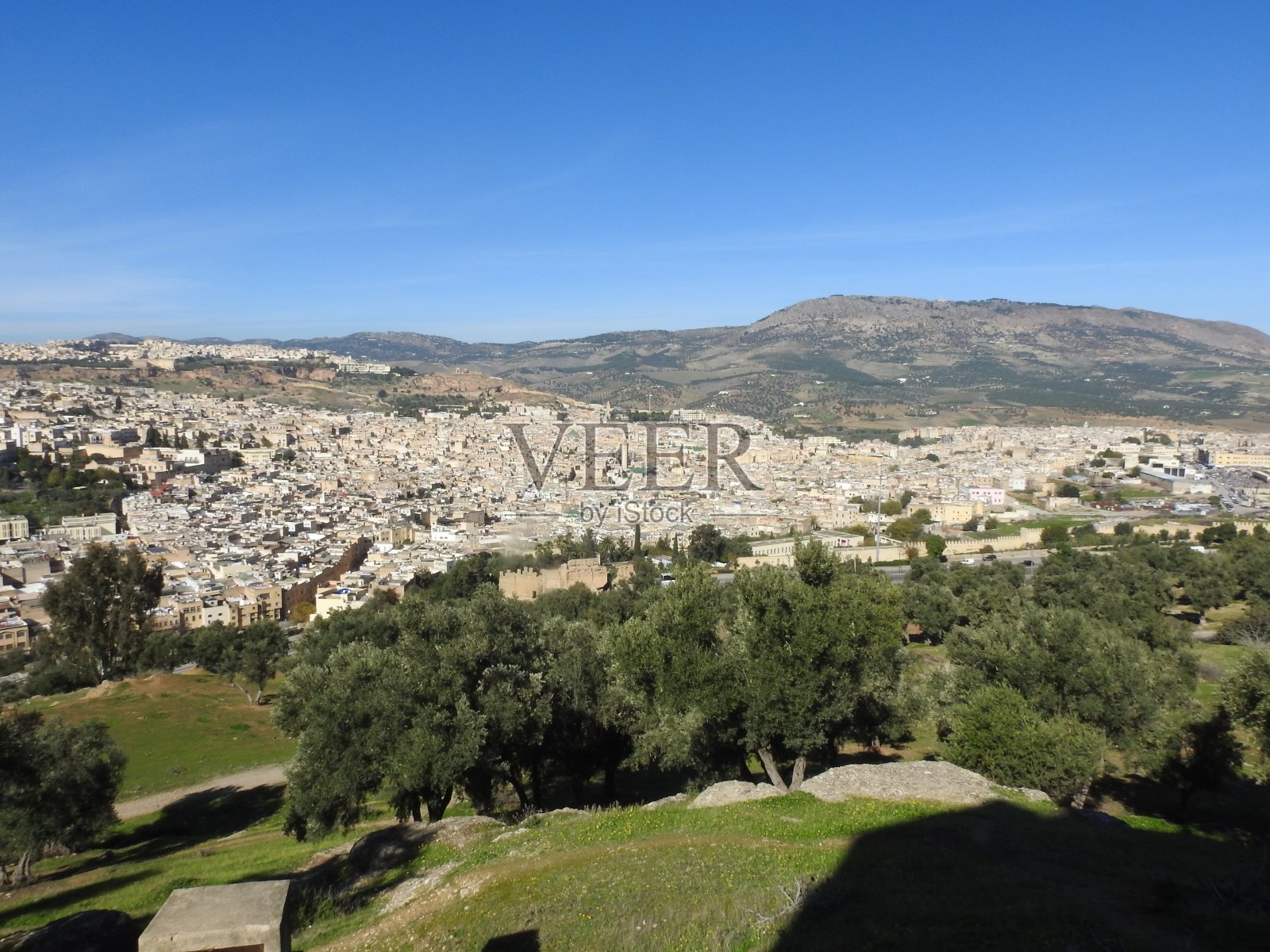 费兹感觉照片摄影图片