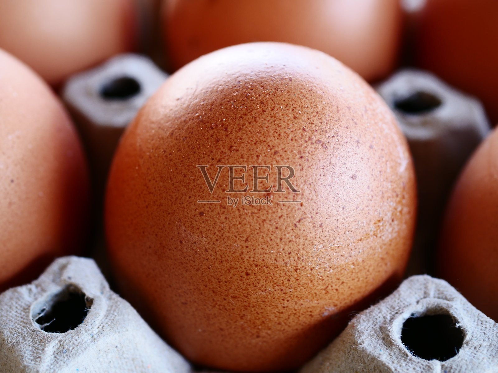 新鲜农场鸡蛋照片摄影图片