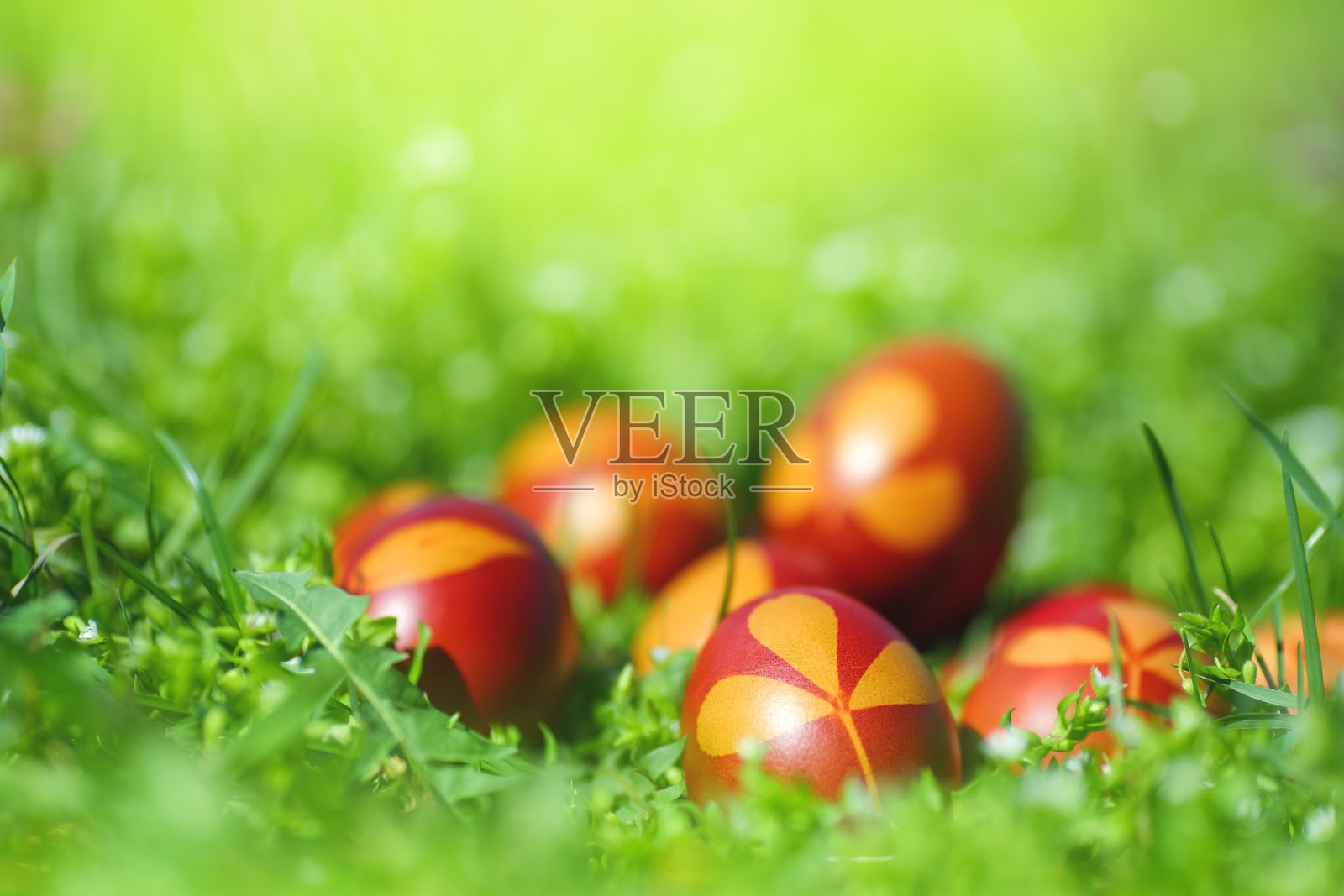 复活节背景与蛋草照片摄影图片