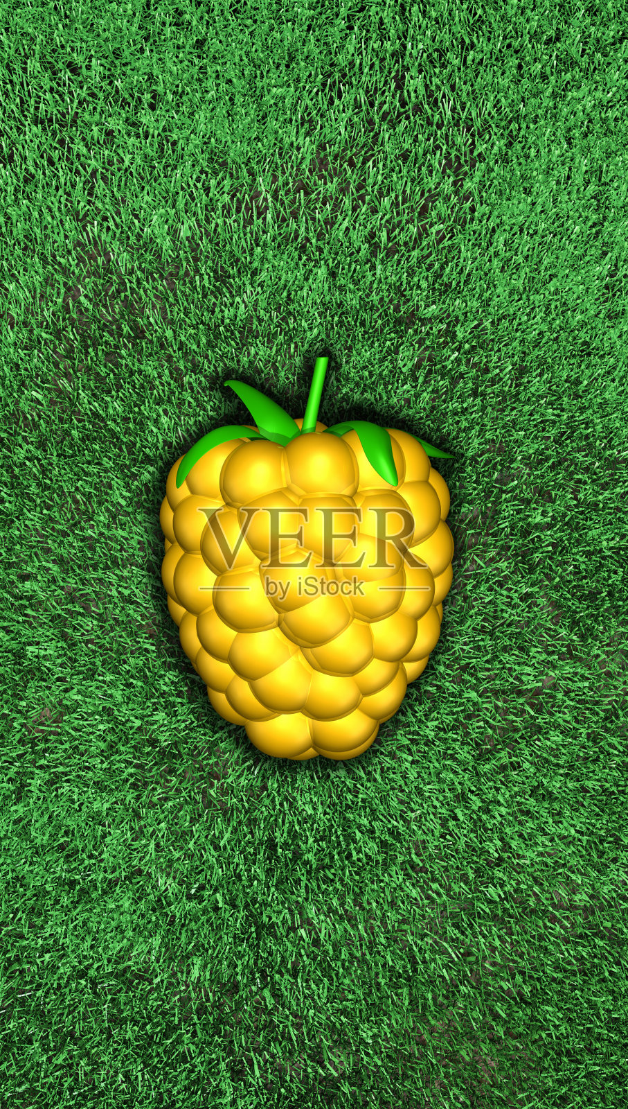 金黄色的覆盆子，黑莓，露莓。浆果在草地上，俯视图，照明。3d插图。高分辨率,6 k。照片摄影图片