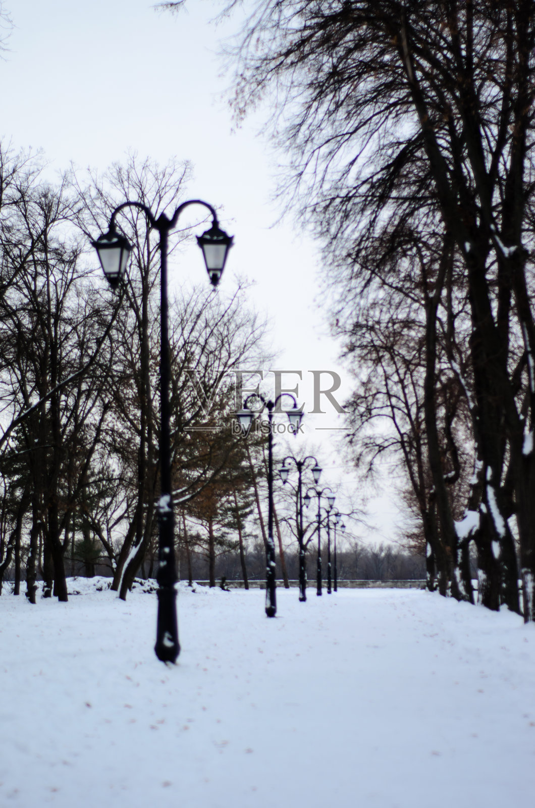 排街灯照片摄影图片