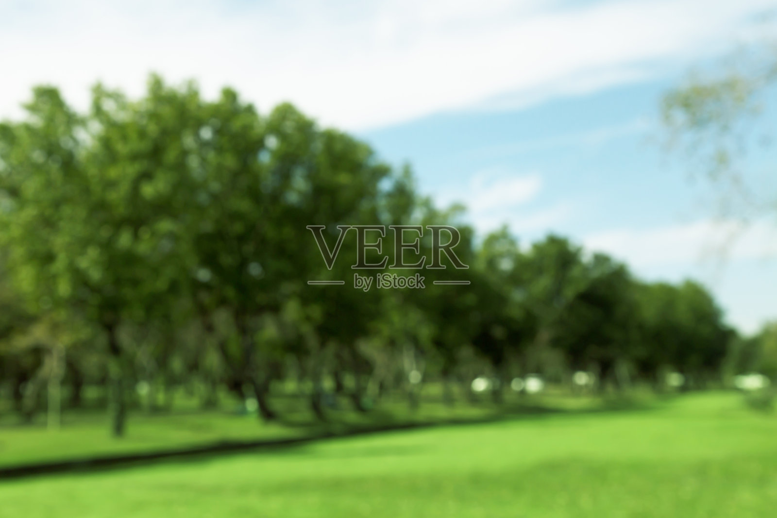 模糊的照片早晨天空下公园里美丽的草地。照片摄影图片