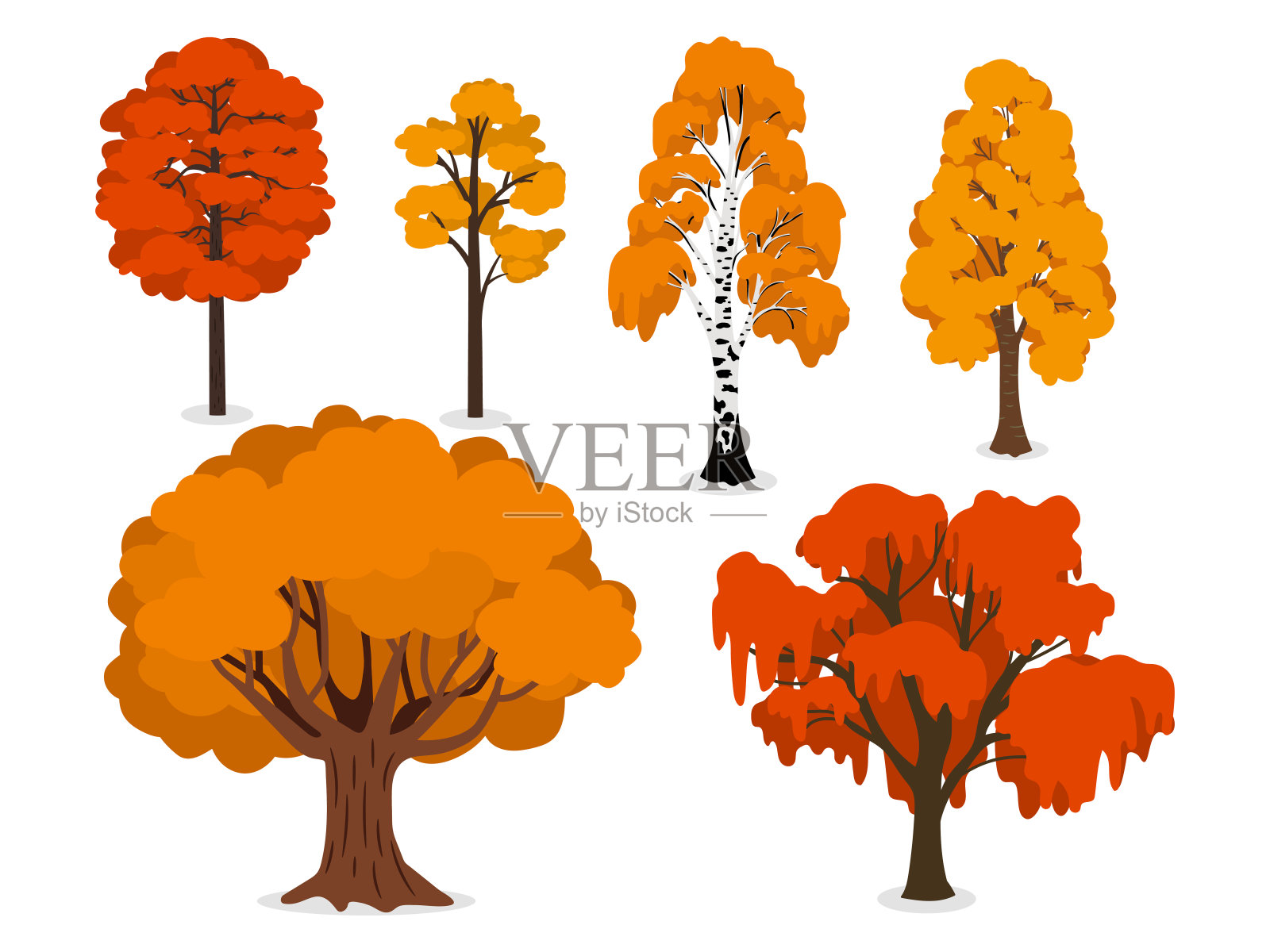 黄色，橙色和红色的森林树木孤立在白色的背景插画图片素材