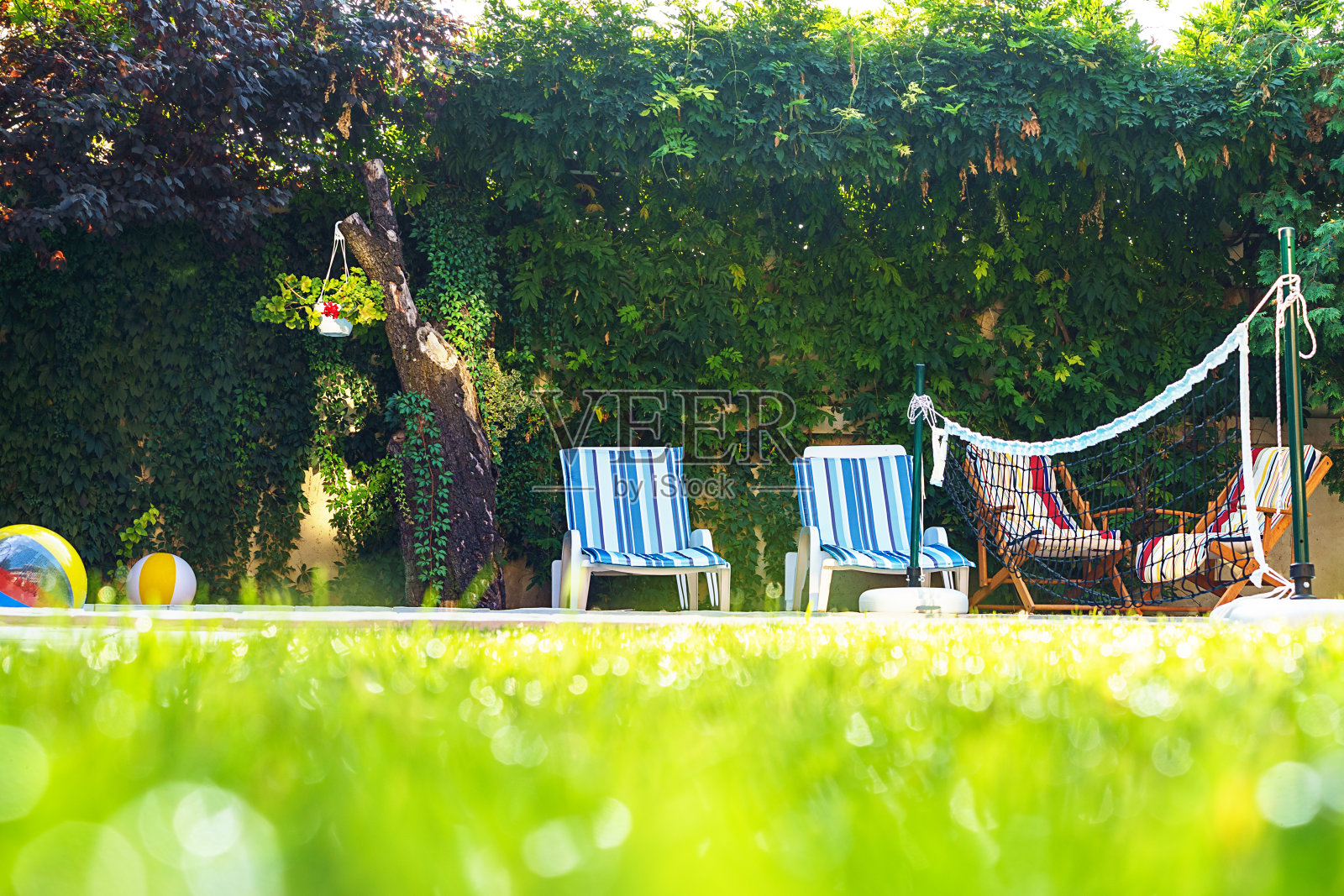 选择以绿草为背景，以水滴为露珠，以散景为背景，以游泳池为背景，为朋友们的游园会提供躺椅。家庭暑假休息和度假的概念。照片摄影图片
