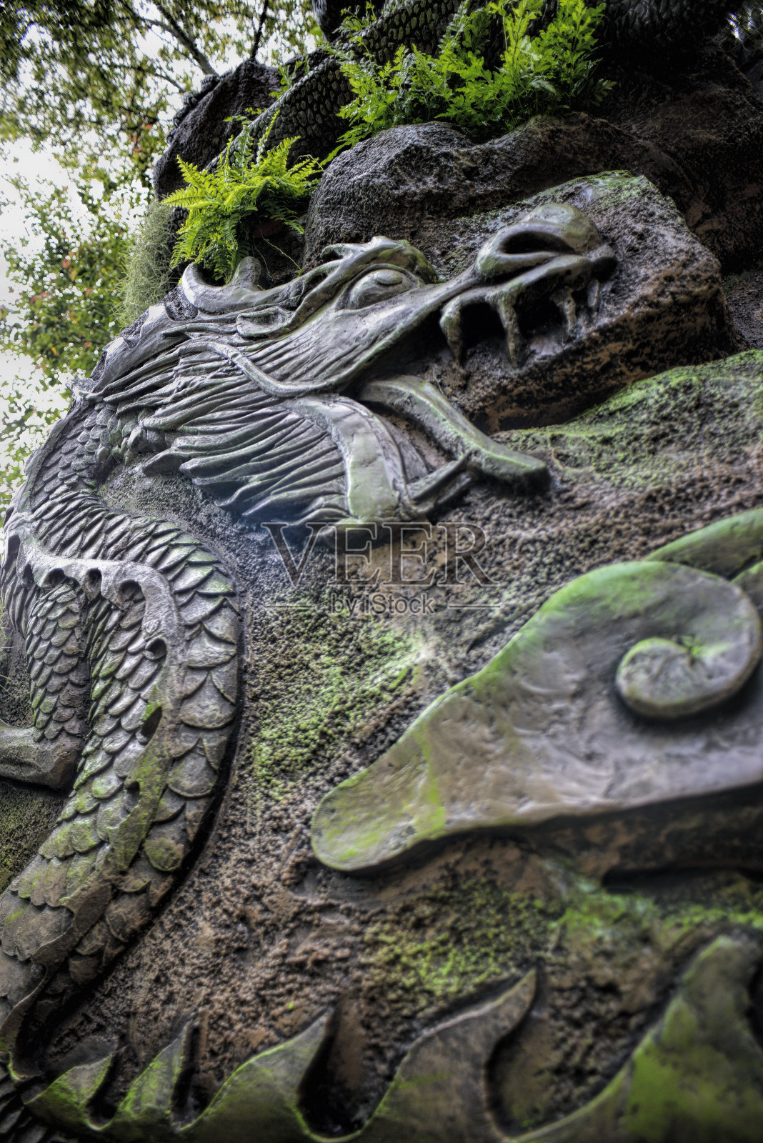 传统的龙装饰，选择性的重点。照片摄影图片