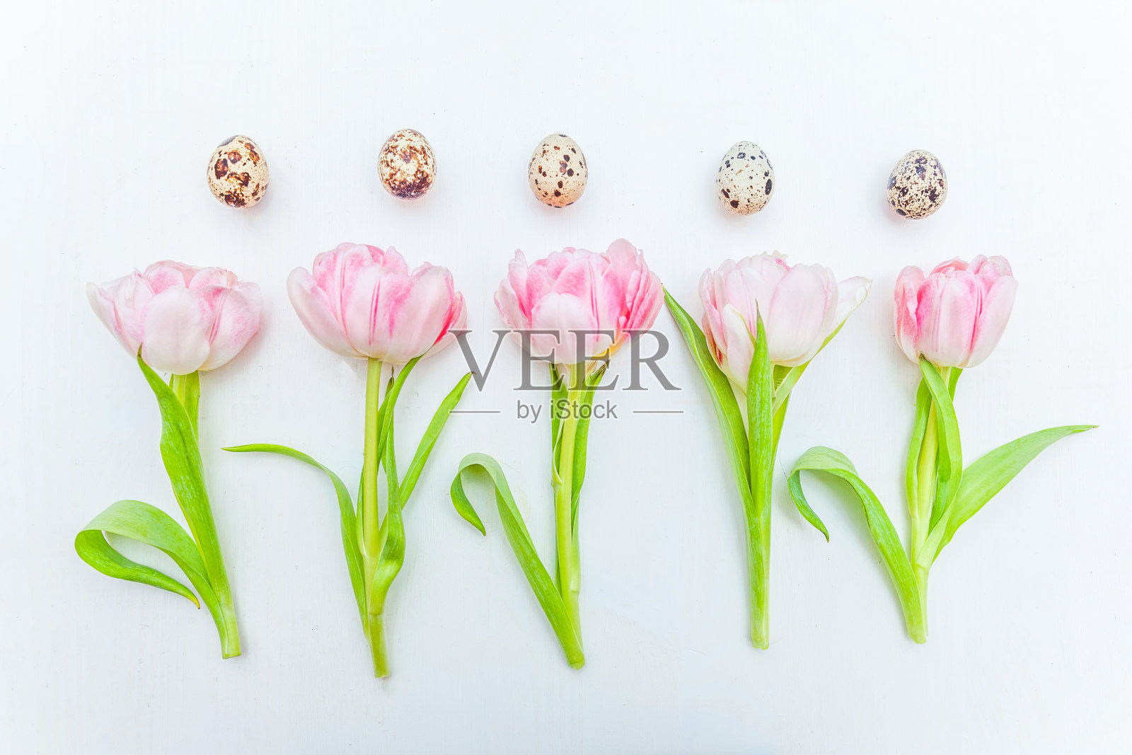 复活节彩蛋和粉红色的新鲜郁金香花束在质朴的白色木质背景上照片摄影图片