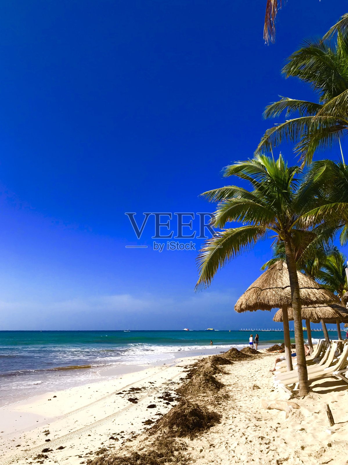 阳光，天空，棕榈树和乐趣照片摄影图片