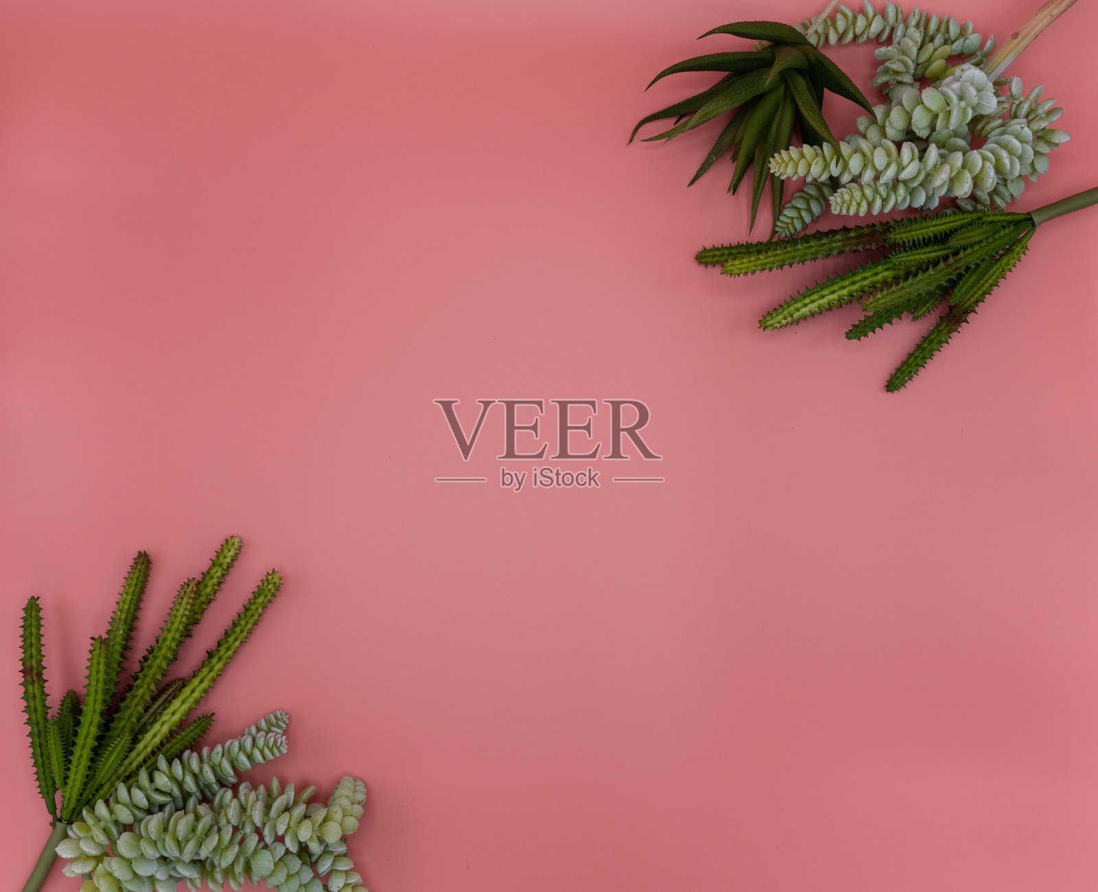 玫瑰粉背景角落人工植物构图/广告概念/背景框/产品空间照片摄影图片