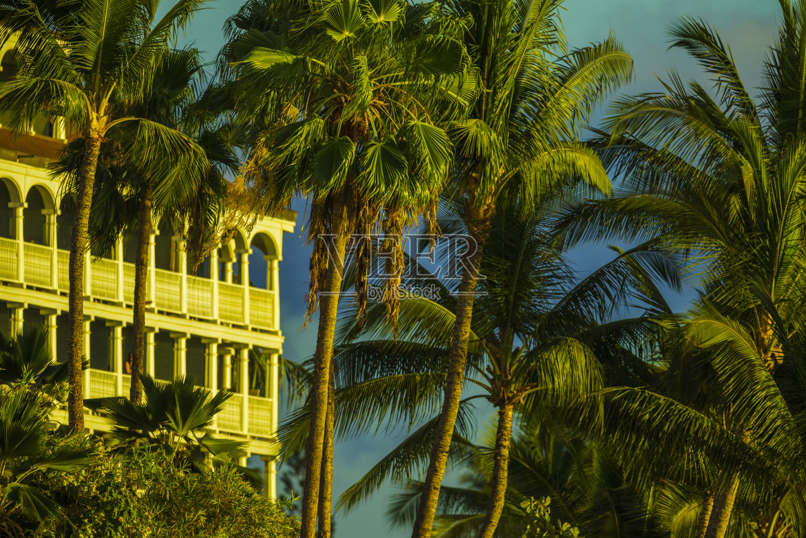 夏威夷的毛伊岛照片摄影图片