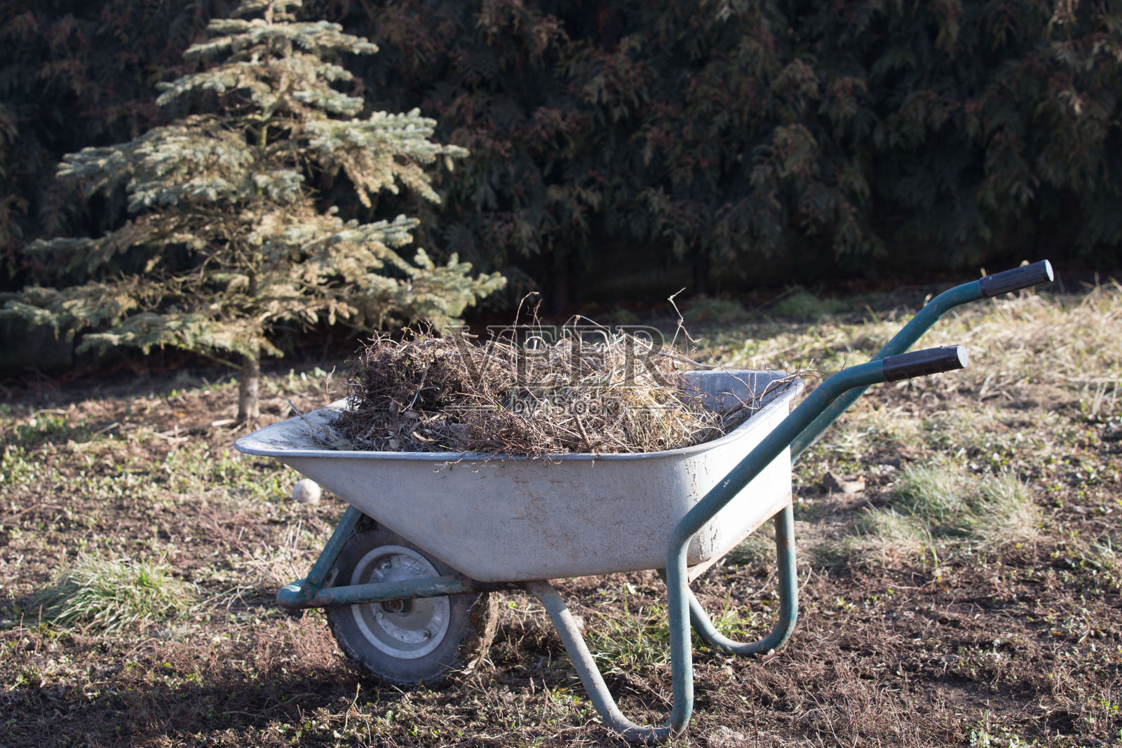 老年妇女在花园里做春季大扫除照片摄影图片