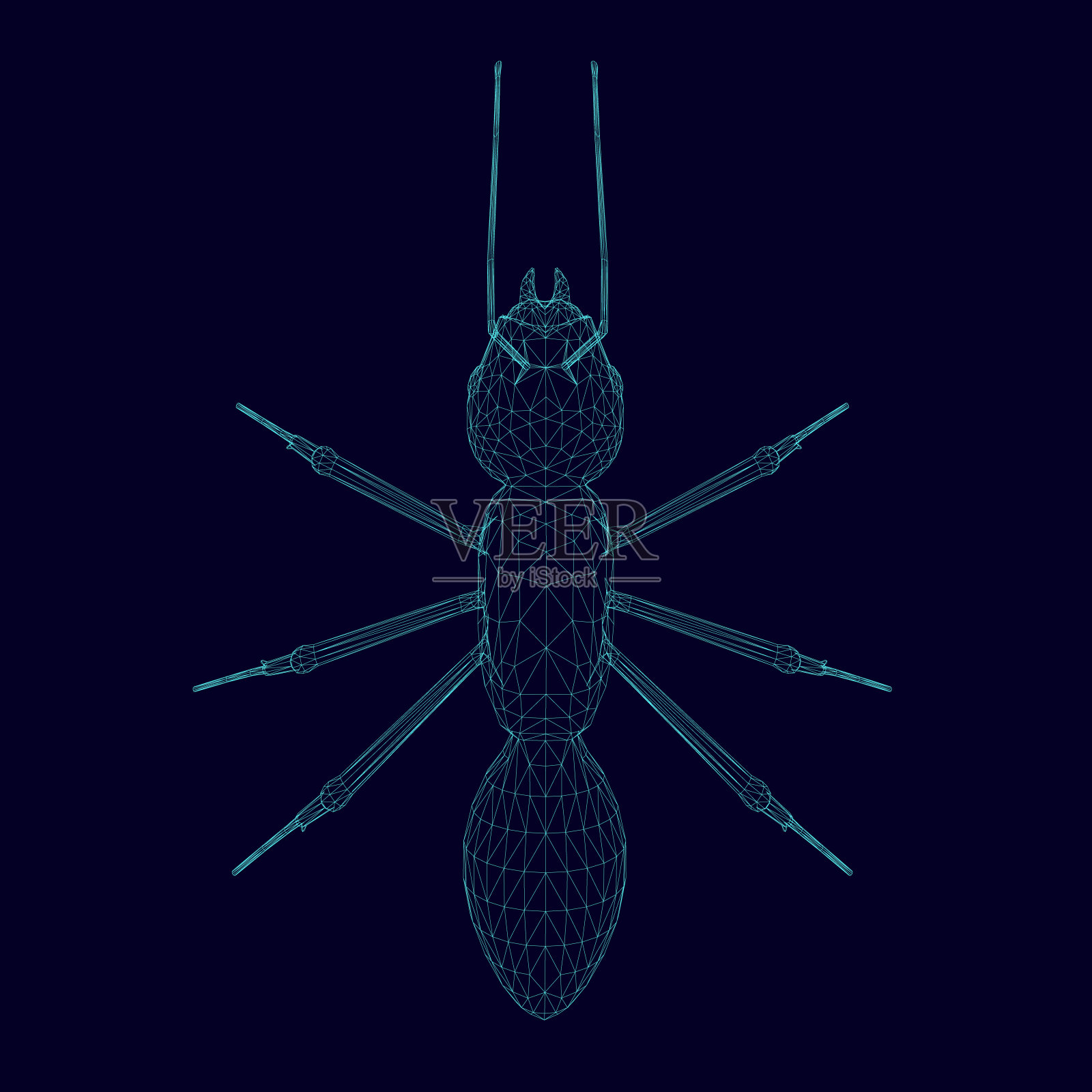 蚂蚁线框插画图片素材