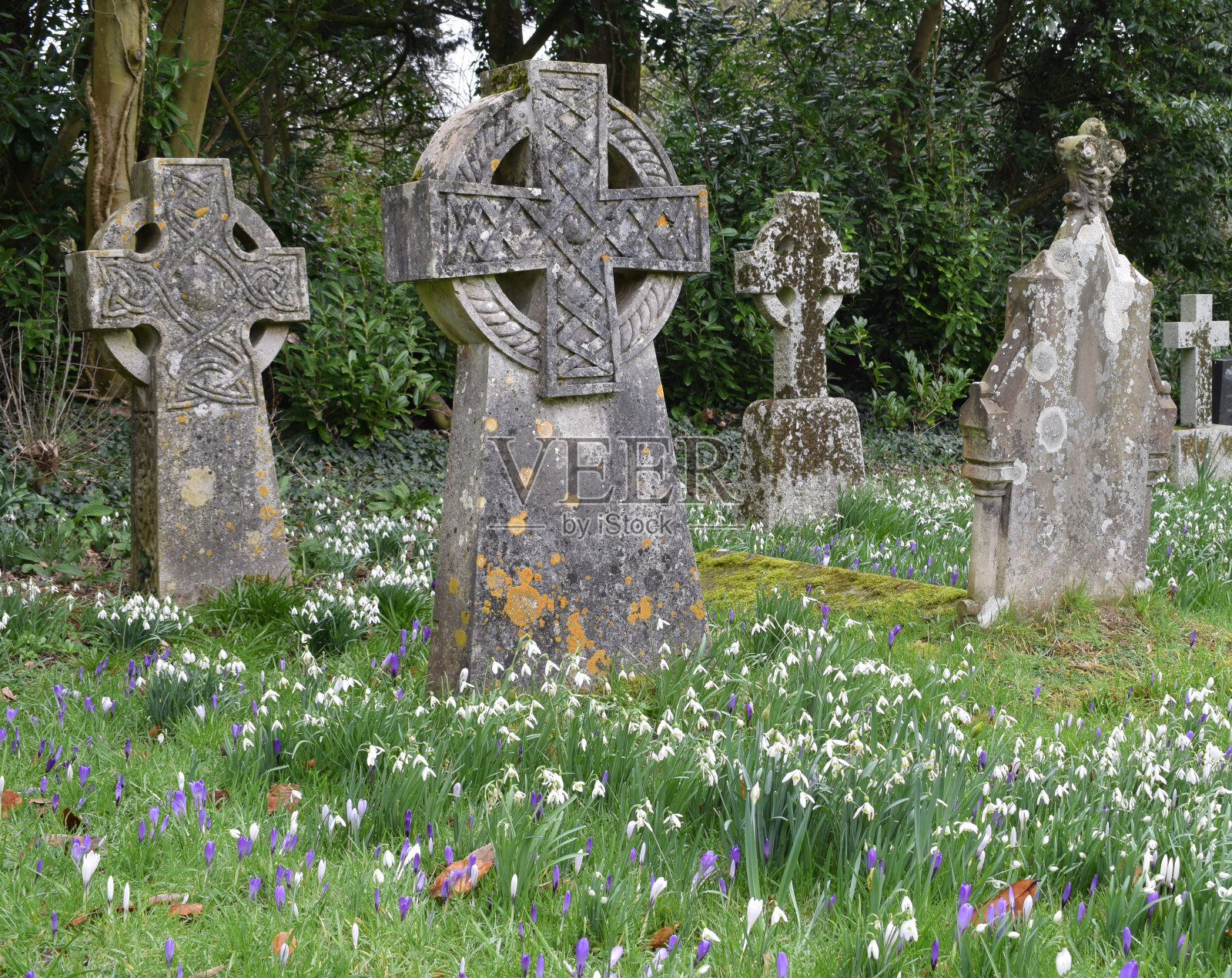 南威尔士布里真德附近的海滩照片摄影图片