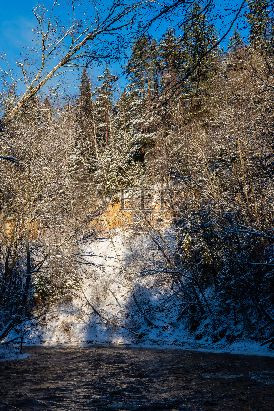 冬天冰冻的森林河流照片摄影图片
