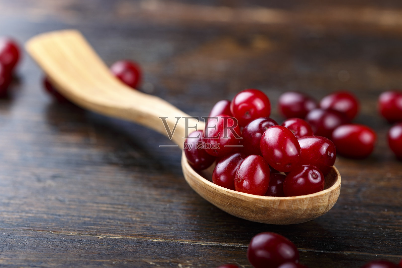 生的新鲜barberry浆果照片摄影图片