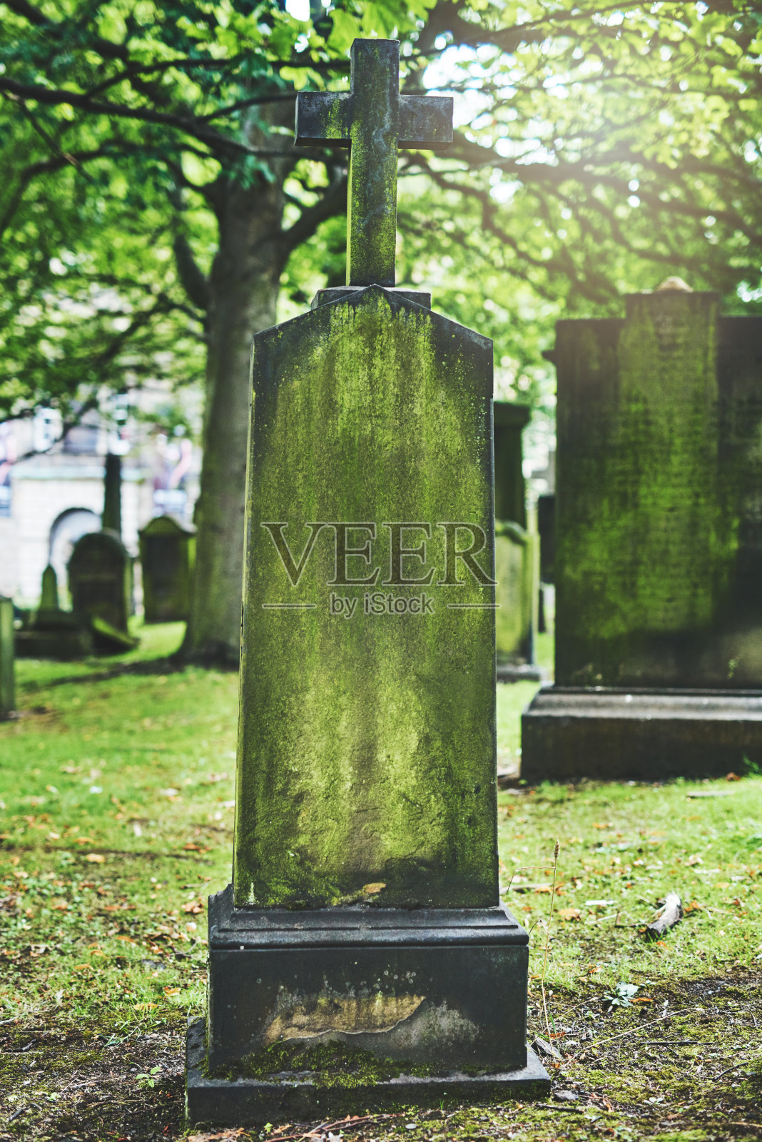 在美好的记忆中……照片摄影图片